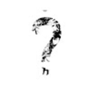 Meet your Posher, Landon